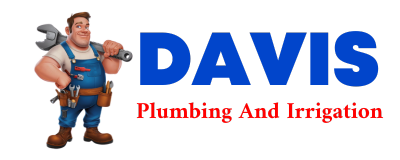 Trusted plumber in BORUP